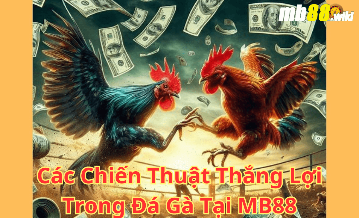 Các Chiến Thắng Thuật Lợi Trong Đá Gà Tại MB88